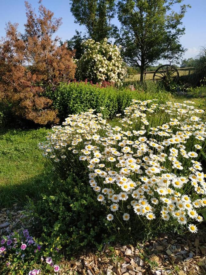 La Chapelle-Gaudin Les Bienfaits D'Harmonium Bed & Breakfast エクステリア 写真